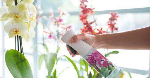 PssstÃ¢â‚¬Â¦ mooie orchidee!