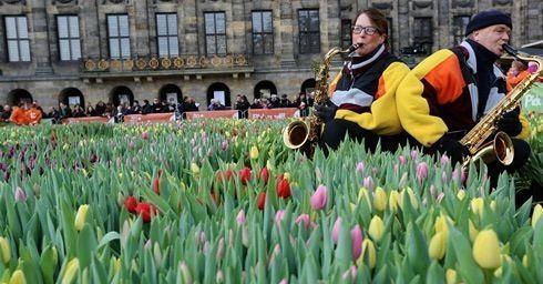 Tijd voor tulpen