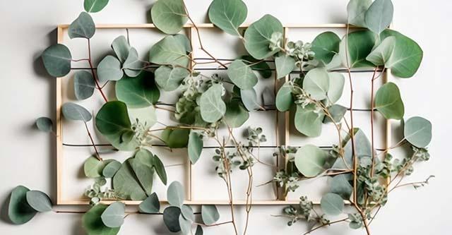 eucalyptus-interieur.jpg